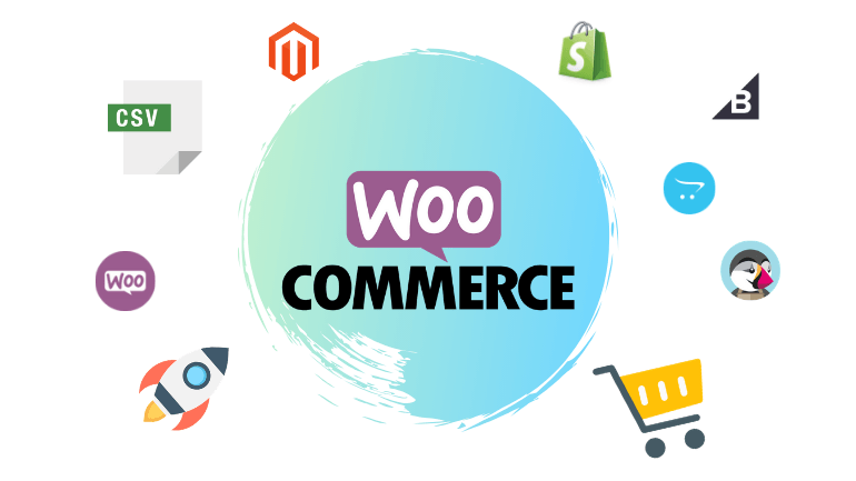 16款最好的WooCommerce收付款插件（跨境電商獨立站收付款）-網站設計_海豚建站